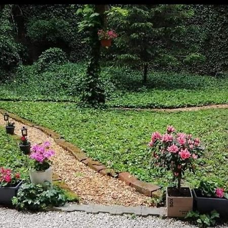 City Centar Apartman With Garden Lejlighed Zagreb Eksteriør billede
