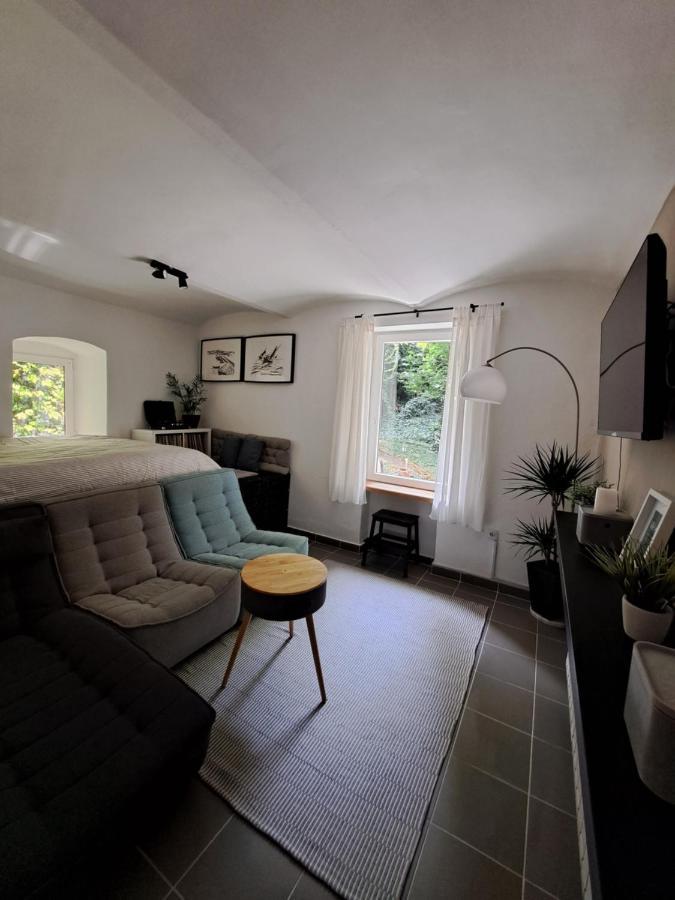 City Centar Apartman With Garden Lejlighed Zagreb Eksteriør billede